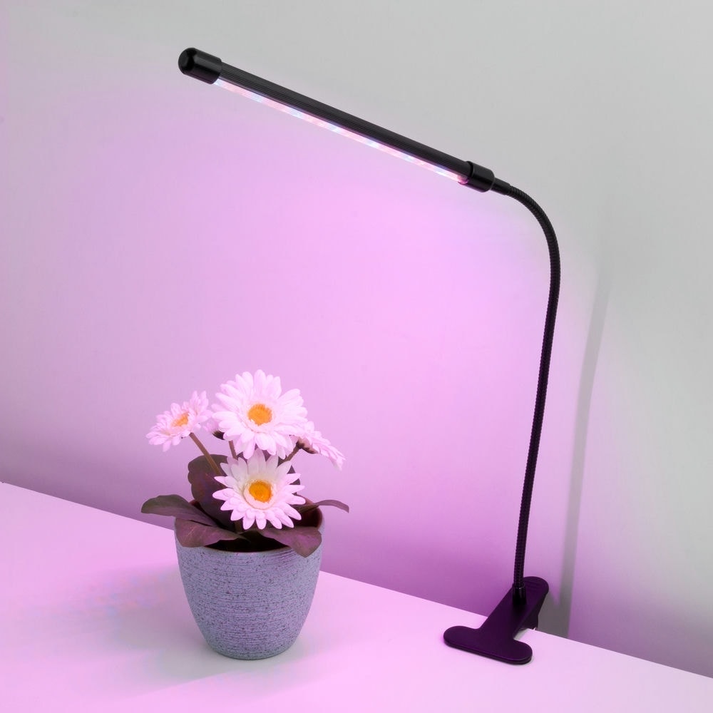 Светодиодный светильник для растений на прищепке FT-004 чёрный