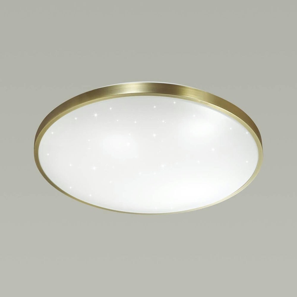 Настенно-потолочный светодиодный светильник Sonex Lota Bronze 2089/CL