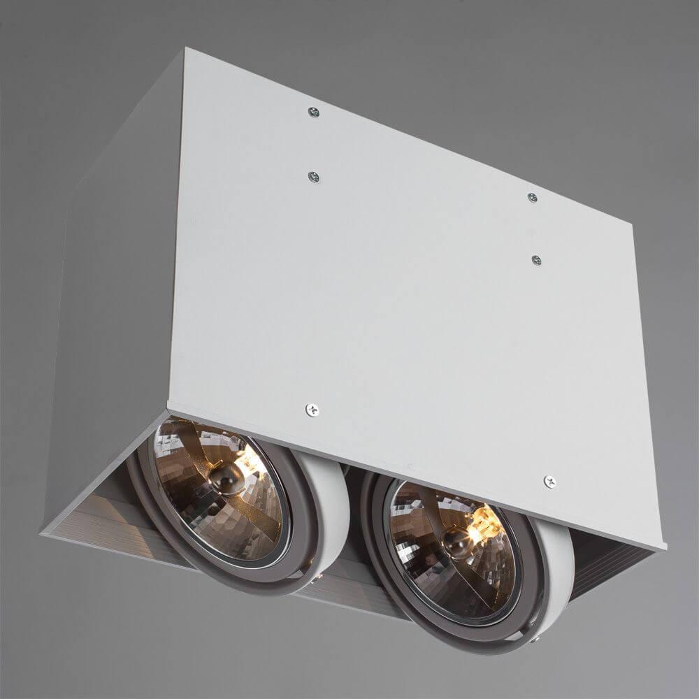 Потолочный светильник Arte Lamp Cardani A5936PL-2WH