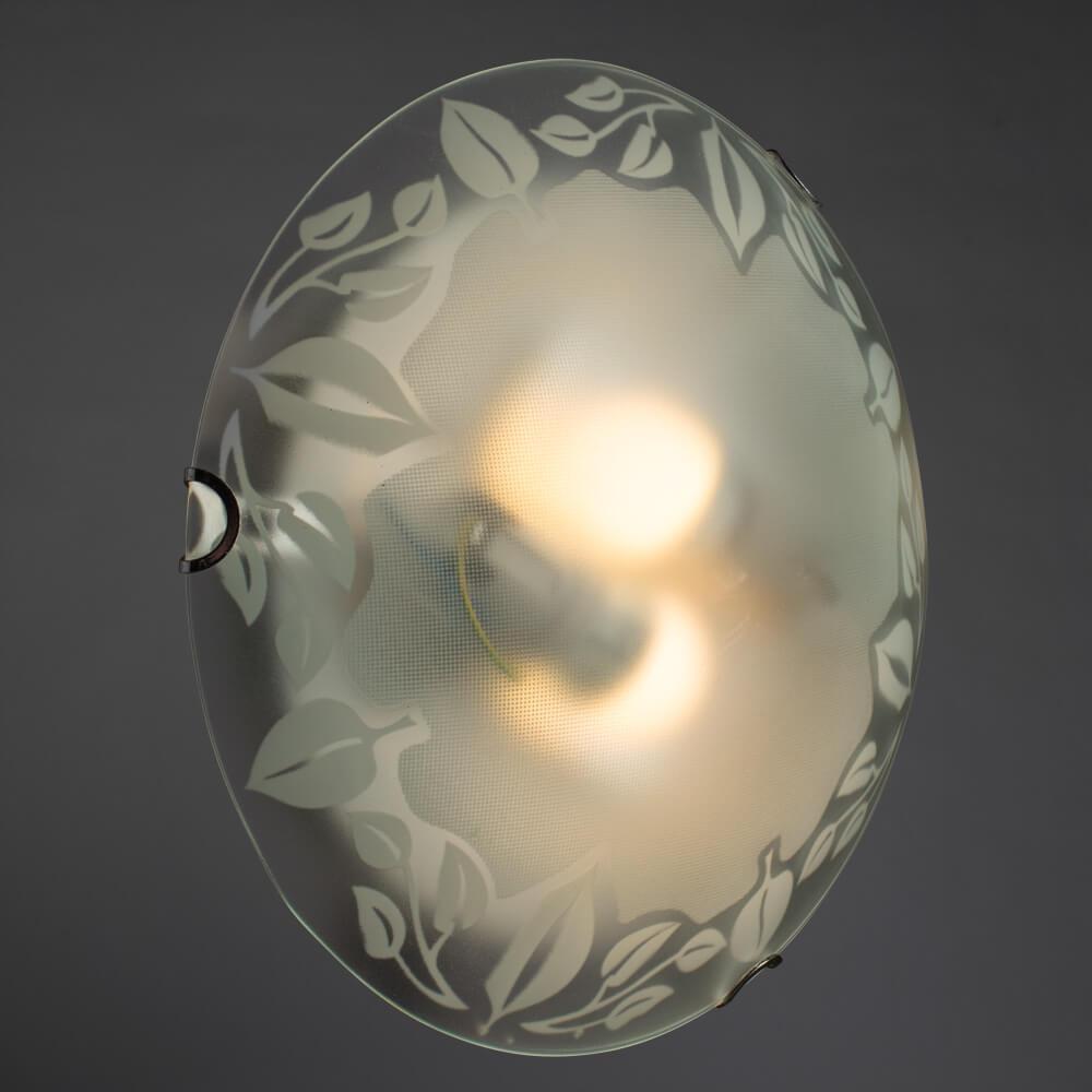 Настенный светильник Arte Lamp Leaves A4020PL-2CC