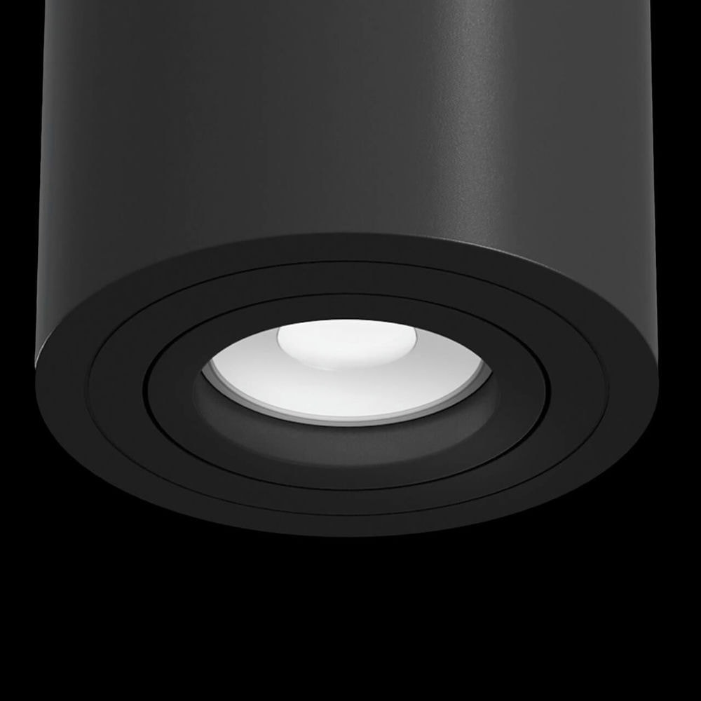 Потолочный светильник Maytoni Alfa C016CL-01B